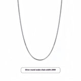 Titanium Steel Snake Chain Necklace Light Luxury Minority Sense